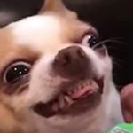 Profile Picture of Jay Werthmann (@shadow_coyote328) on Instagram