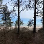 Profile Picture of Crystal Shanks (@crystal.2018.love) on Facebook