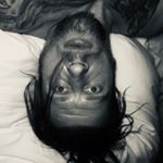 Profile Picture of Patrick Köppchen (@patrick_koeppchen) on Instagram