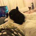 Profile Picture of Melanie Reid (@melanie.reid2) on Instagram