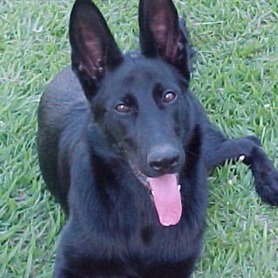 Profile Picture of Fernando Cesar (@FernandoCesarBA) on Twitter