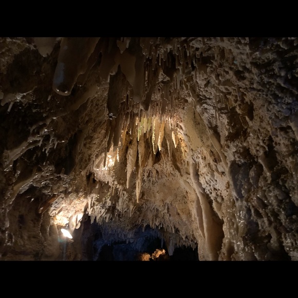 Profile Picture of Vianey Maldonado (@vmaldonado47) on Poshmark