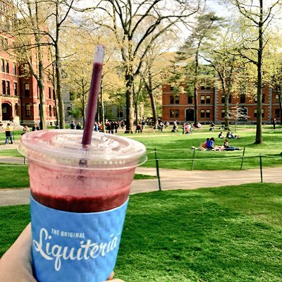 Profile Picture of Senshi M. Onions / Occupy Mars 👨‍💻 (@onion797jp) on Twitter