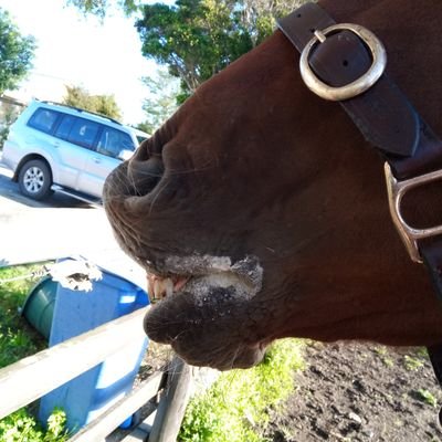 Profile Picture of Brad Costello (@BradCostello3) on Twitter