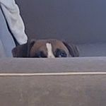 Profile Picture of Jeff Manley (@726jam) on Instagram