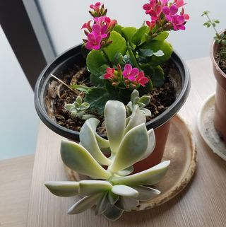 Profile Picture of Dun Liu (@dun.liu.39501) on Facebook