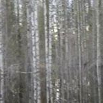 Andrew Grossman - Instagram Profile Picture of Andrew Grossman (@naryk_cap38) on Instagram