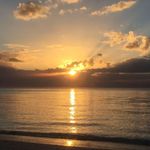 Michele Foshee - Instagram Profile Picture of Michele Foshee (@michelefoshee) on Instagram