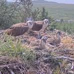 Profile Picture of Quora MacTavish (@Quora-MacTavish) on Facebook