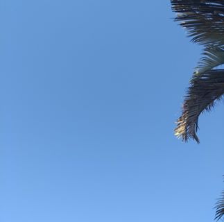 Profile Picture of Joe Virgil (@joe.virgil.522) on Facebook