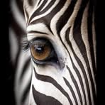 Profile Picture of Lisa Maureen Van DyckHoyt (@lisa.maureen.van.dyck.hoyt) on Facebook