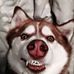 Profile Picture of Andrew Jude Amper (@andrewjude.amper) on Facebook