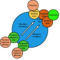 Profile Picture of Allosteric regulationon Wikipedia