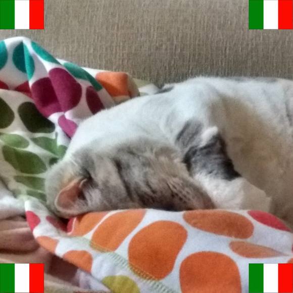 Profile Picture of Purl Calcaterra (@purlcalcaterra) on Poshmark