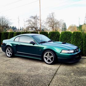 Profile Picture of Kevin Seguine (@kevinseguine) on Pinterest