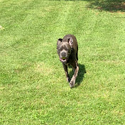 Profile Picture of Bunni Manion (@bunnimanion3019) on Youtube