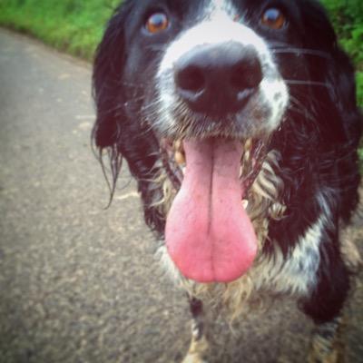 Profile Picture of Geoff.Ward Film&Phot (@Geofffilmphoto) on Twitter