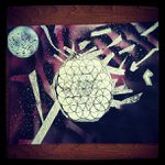 Profile Picture of Cecilia Viveiros (@smaganol) on Instagram