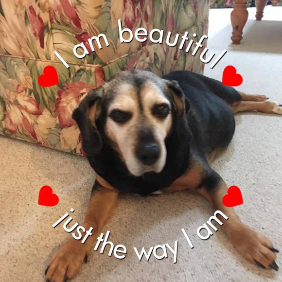 Profile Picture of Lisa Basil (@l_koski) on Poshmark