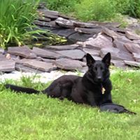 Profile Picture of Richard Coviello (@richard-coviello-1) on Quora