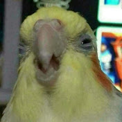 Profile Picture of Wolferman 23 (@wolferman2349) on Youtube