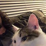 Profile Picture of dustin darling (@dustindarling) on Instagram