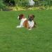 Profile Picture of Normand Hebert (@normand.hebert.940) on Facebook