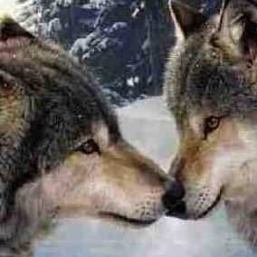 Profile Picture of Vikki Wheeler (@vikki.wheeler.79) on Facebook