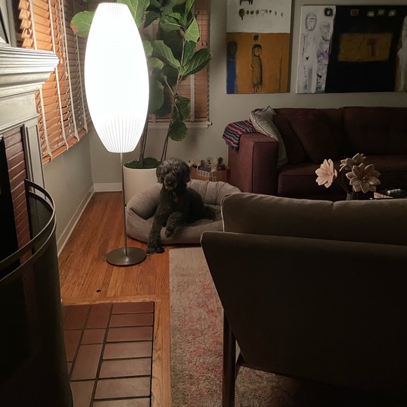 Profile Picture of Bianca Bazyler (@biancabazyler) on Poshmark