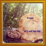 Profile Picture of Robert Davis (@willowsfundown) on Instagram