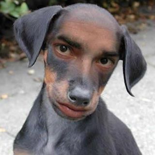 Profile Picture of Aron Curtes (@aron.curtes) on Facebook