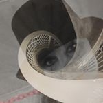 Profile Picture of Donnadayetta (@donnadayetta) on Instagram
