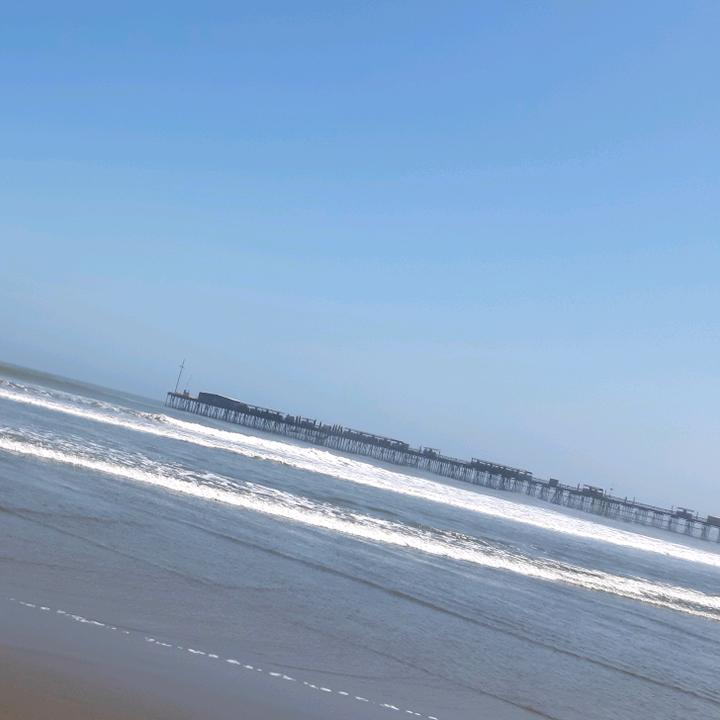 Profile Picture of tony_monte (@tony_monte) on Tiktok