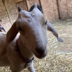 Profile Picture of Lio John (@Lio-John) on Facebook