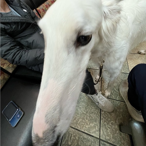 Profile Picture of Paul Callahan (@paulcallahan42) on Poshmark