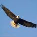 Profile Picture of Cloud Sky Eagle (@cloud.s.eagle) on Facebook