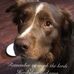 Profile Picture of Ernest Allison (@ernest.allison.182) on Facebook
