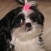 Profile Picture of Cindy Pensinger (@cindy.pensinger) on Facebook
