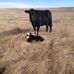 Profile Picture of Dennis Engel (@dennis.engel.98892) on Facebook