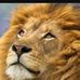 Profile Picture of Eric Jaimes (@eric.jaimes.7359) on Facebook