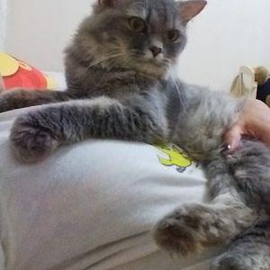 Profile Picture of Lord Ralph (@HRH_Ralph) on Twitter