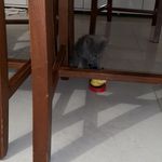 Profile Picture of Francesco pandullo (@antopeppematteo) on Instagram