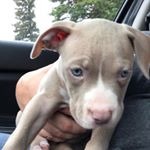 Profile Picture of Colt James (@colts_life_and_adventures) on Instagram