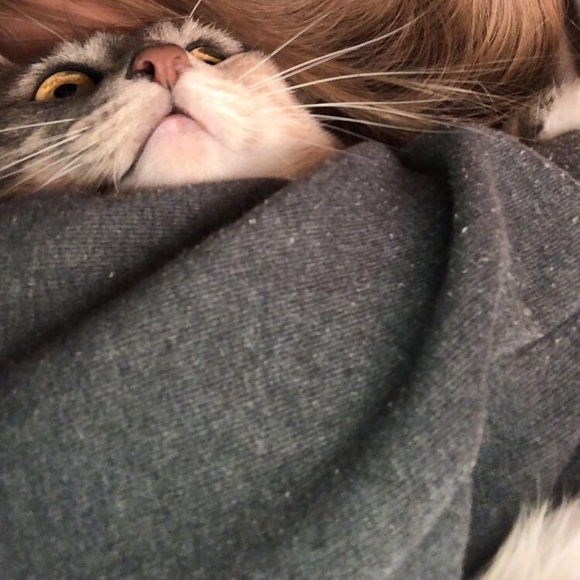 Profile Picture of Jena Spomer (@jenaspomer) on Poshmark