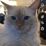 Profile Picture of Jack Tanner Danielson (@jacktannerdanielson) on Instagram