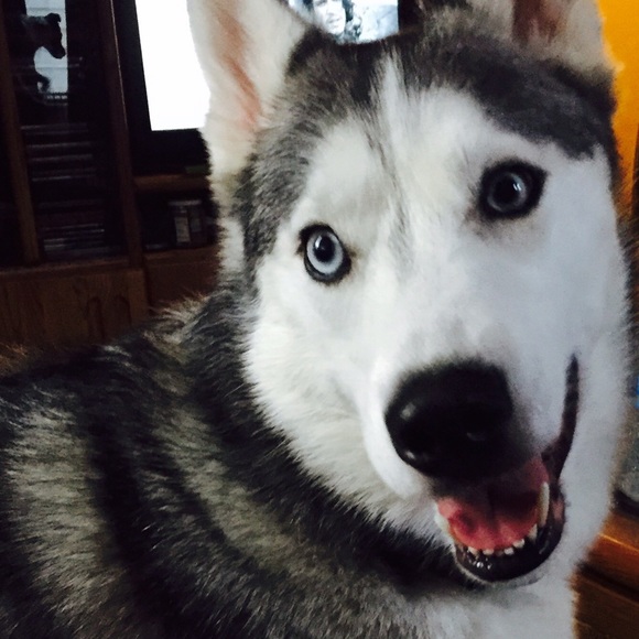 Sydnee Jones - Poshmark Profile Picture of Sydnee Jones (@sydneejo) on Poshmark