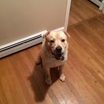 Profile Picture of Craig Fama (@famacraig) on Instagram