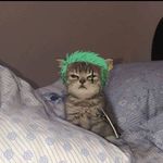 Profile Picture of Danilo Barroso Feitosa (@danilo6899) on Instagram