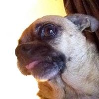 Profile Picture of Sandra Kidd (@sandra-kidd-9) on Quora