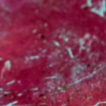 Profile Picture of Diana Isabel Alvis Palma (@belaboreal) on Flickr